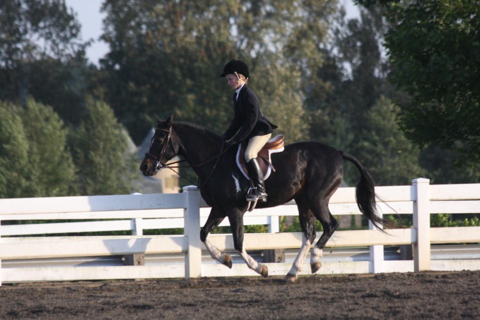 Lead Changes Where Does My Horse Hurt?